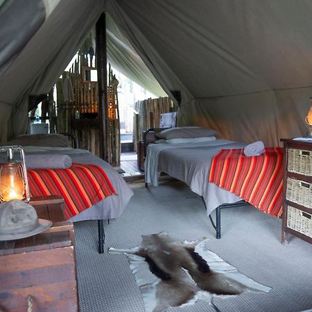 Quatermain'S 1920'S Safari Camp - Amakhala Game Reserve Eksteriør bilde