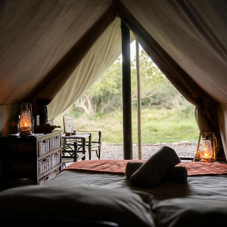 Quatermain'S 1920'S Safari Camp - Amakhala Game Reserve Eksteriør bilde
