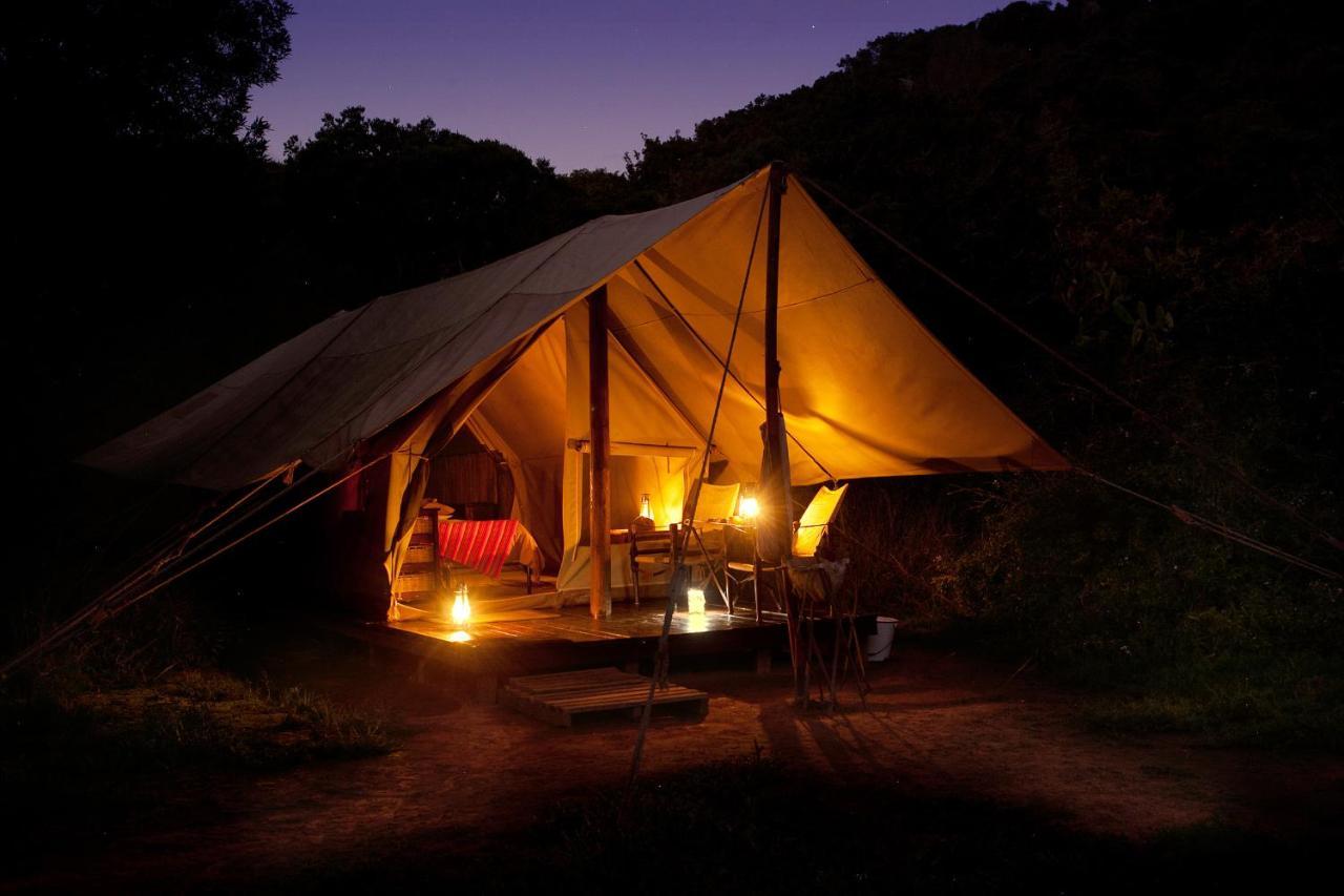 Quatermain'S 1920'S Safari Camp - Amakhala Game Reserve Eksteriør bilde