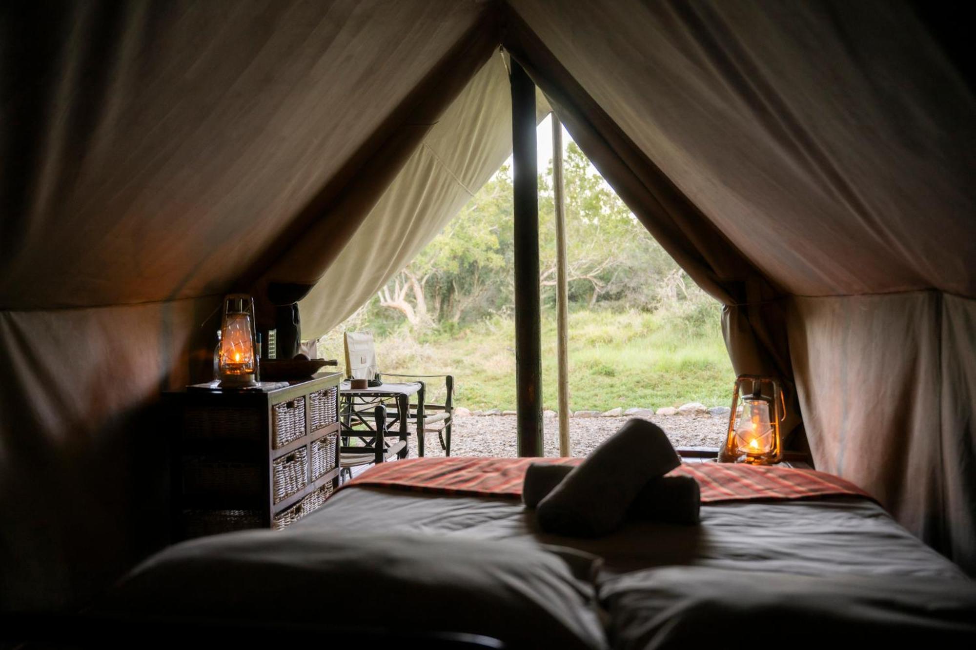 Quatermain'S 1920'S Safari Camp - Amakhala Game Reserve Eksteriør bilde