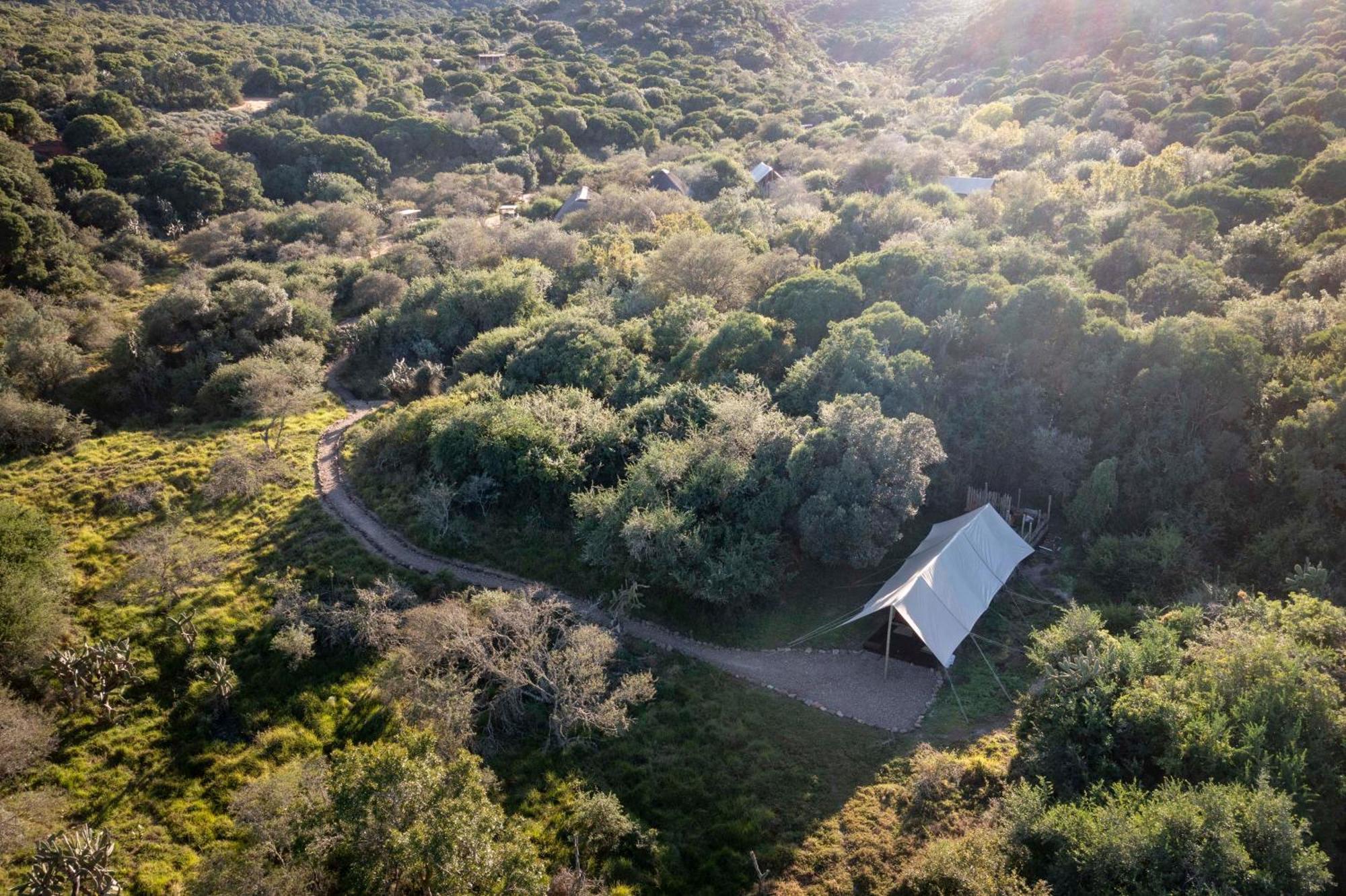 Quatermain'S 1920'S Safari Camp - Amakhala Game Reserve Eksteriør bilde