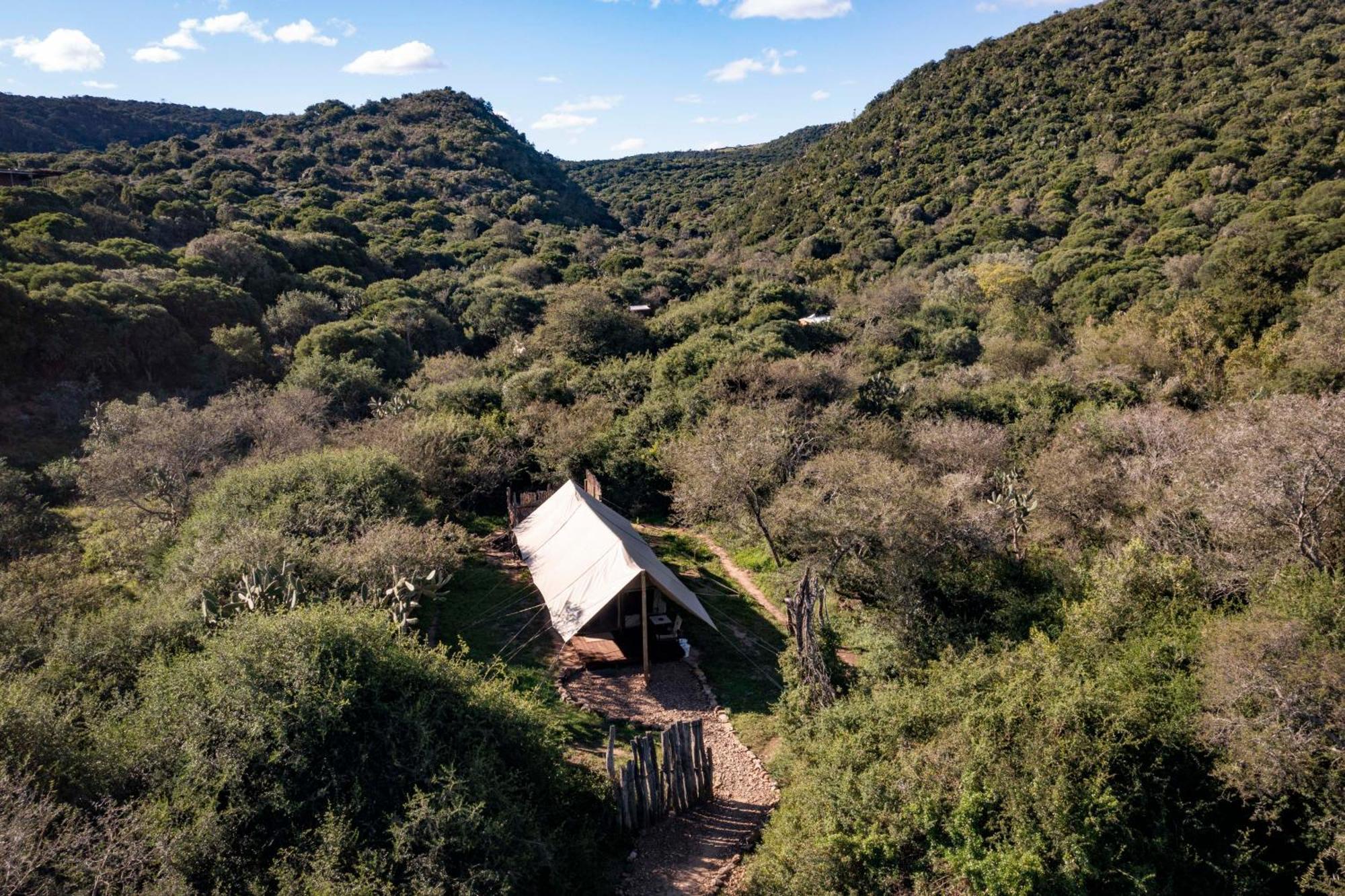 Quatermain'S 1920'S Safari Camp - Amakhala Game Reserve Eksteriør bilde